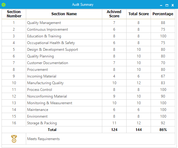 audit summary